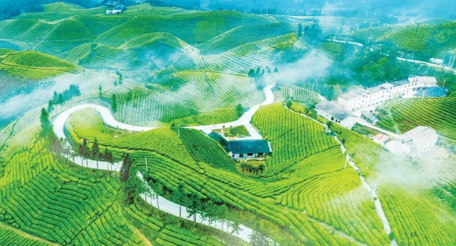  sbti科学碳目标对农业种植可持续碳排放设定范围标准